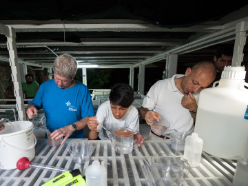 Lab work at Xcaret Eco Park, Mexico (Paul A Selvaggio) CUT.jpg