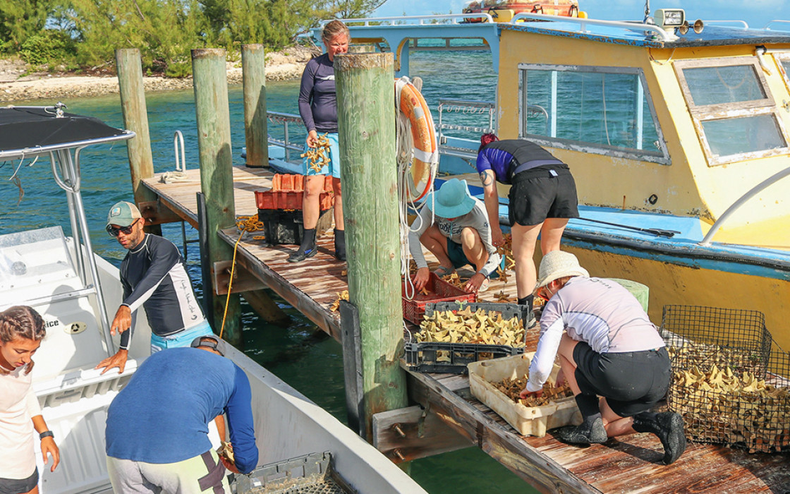 20190918_Eleuthera_September_Aquarium-Workshop_015_VictoriaCassar_CEI-PIMS rwrk.jpg