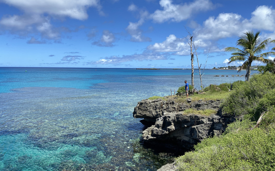 Coral reef seen from land by Margaret Miller